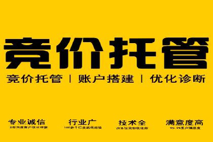 SEM推广案例：效果评估与改进